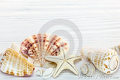 starfish and seashells of different size on white wooden background Stock Photo